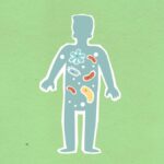 Personalisierte Medizin: Die Zukunft der Behandlung