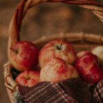 Die besten Proteinquellen in pflanzlicher und tierischer Ernährung